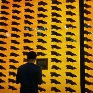 Meet your Posher, Josh